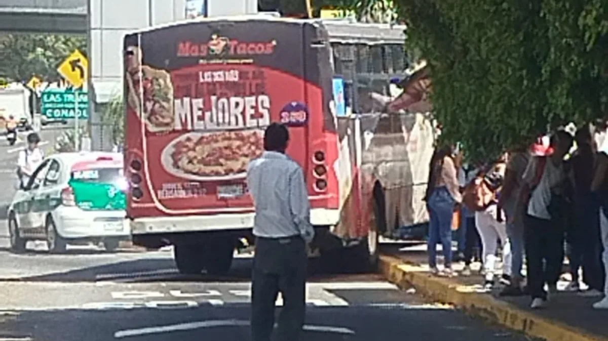 Imagen de publicacion